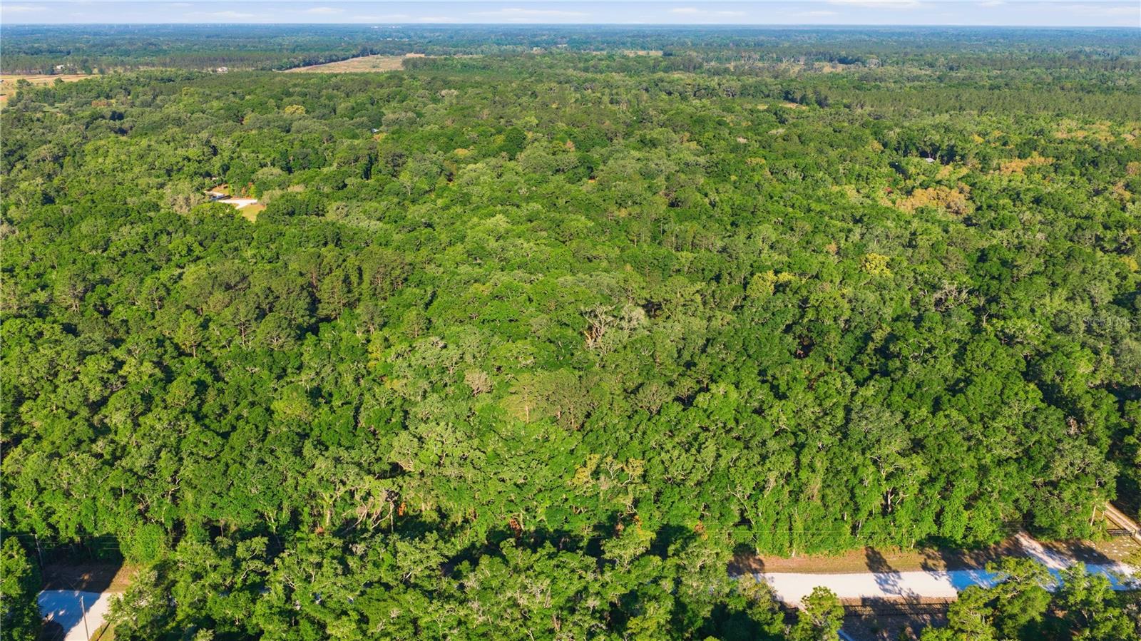 7850 NE 178TH TER, WILLISTON, FL, 32696