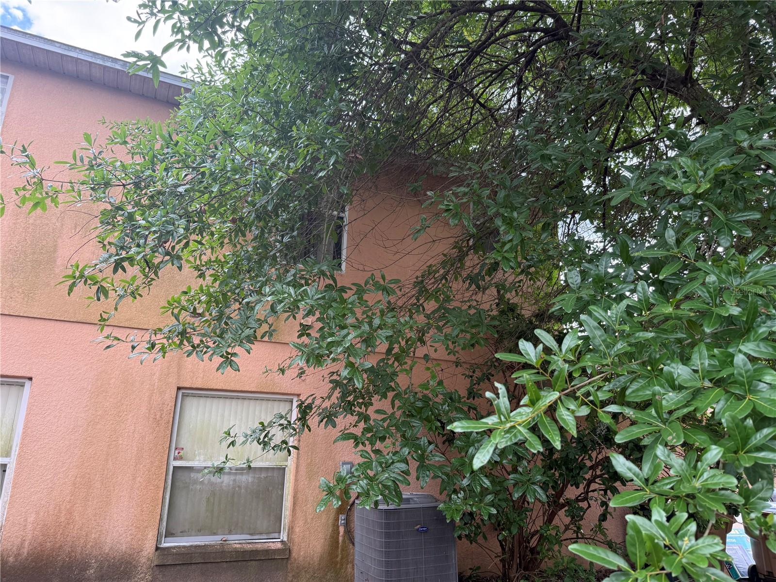 8128 YELLOW CRANE DR, KISSIMMEE, FL, 34747