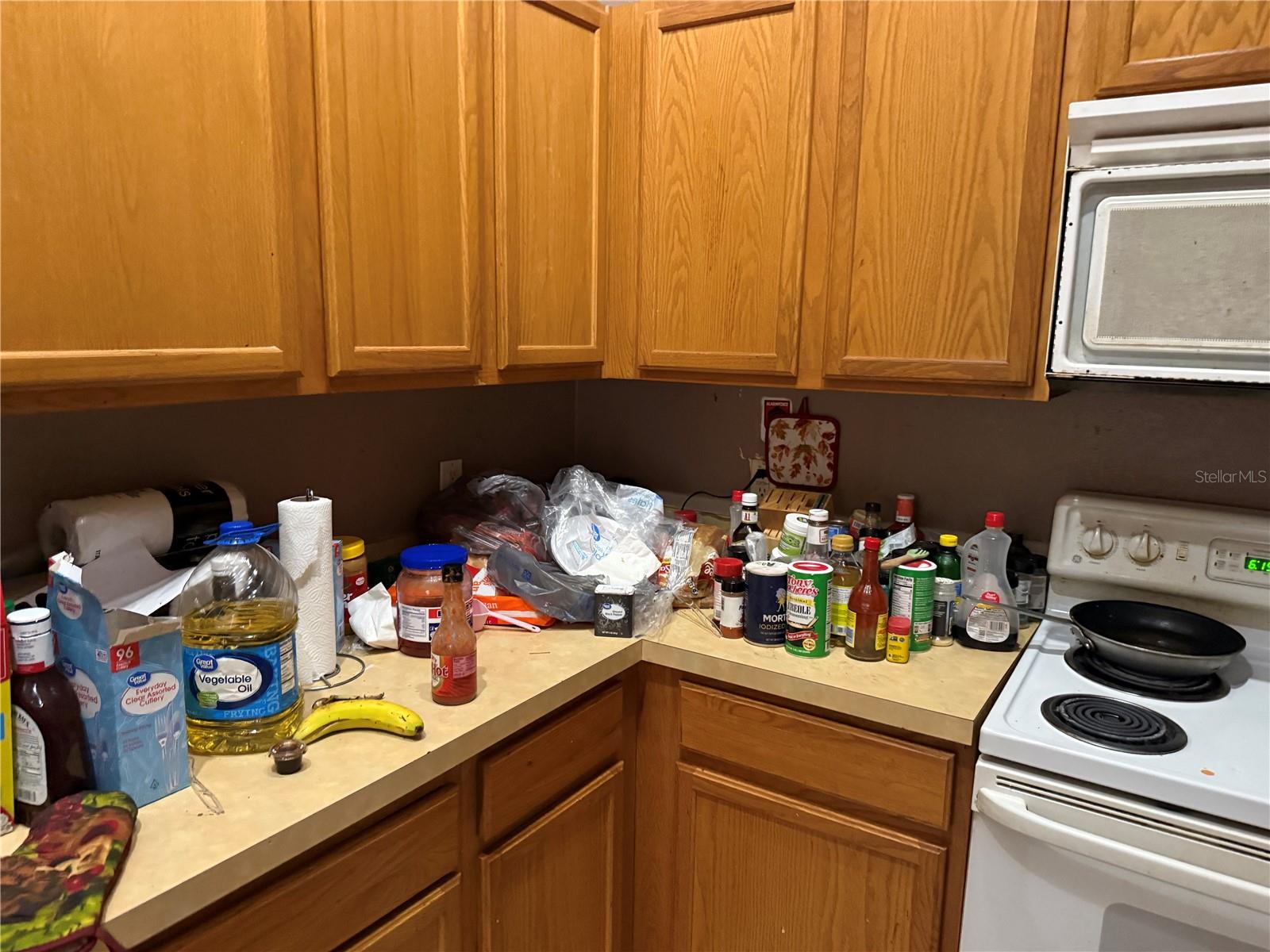 8128 YELLOW CRANE DR, KISSIMMEE, FL, 34747