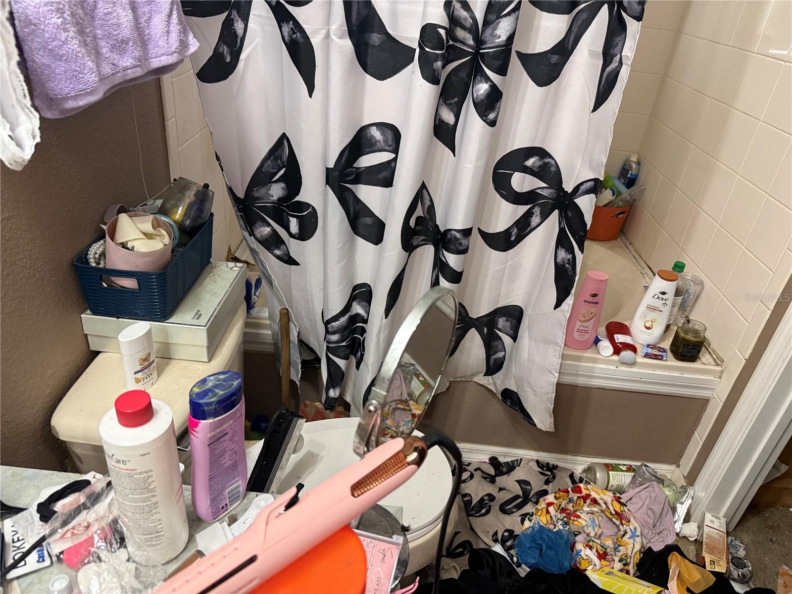 8128 YELLOW CRANE DR, KISSIMMEE, FL, 34747