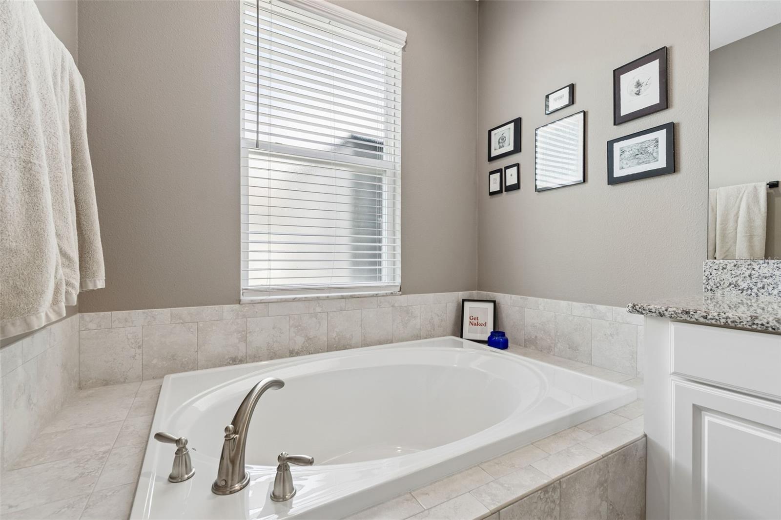 18078 ROMANESQUE CT, SPRING HILL, FL, 34610