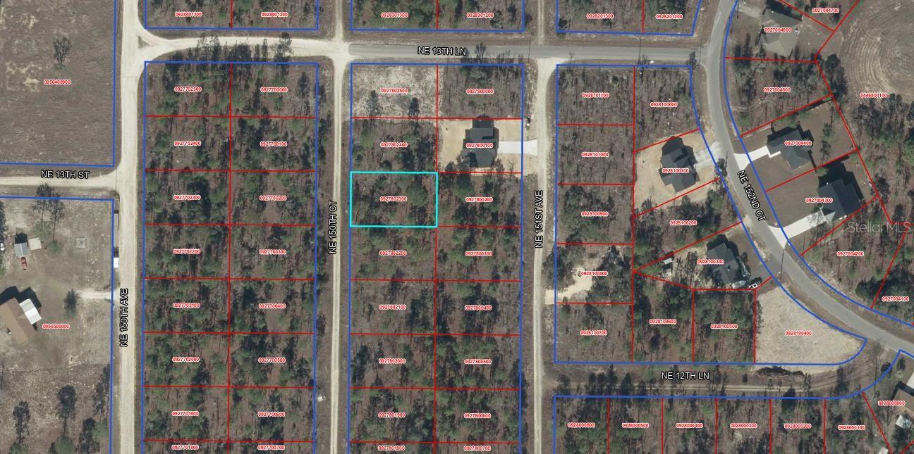 TBD NE 15OTH CT, WILLISTON, FL, 32696