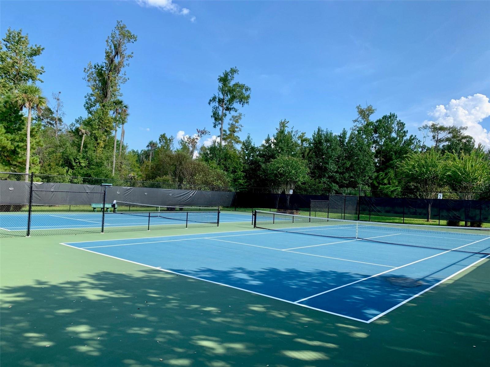 687 SHADOWMOSS CIR, LAKE MARY, FL, 32746