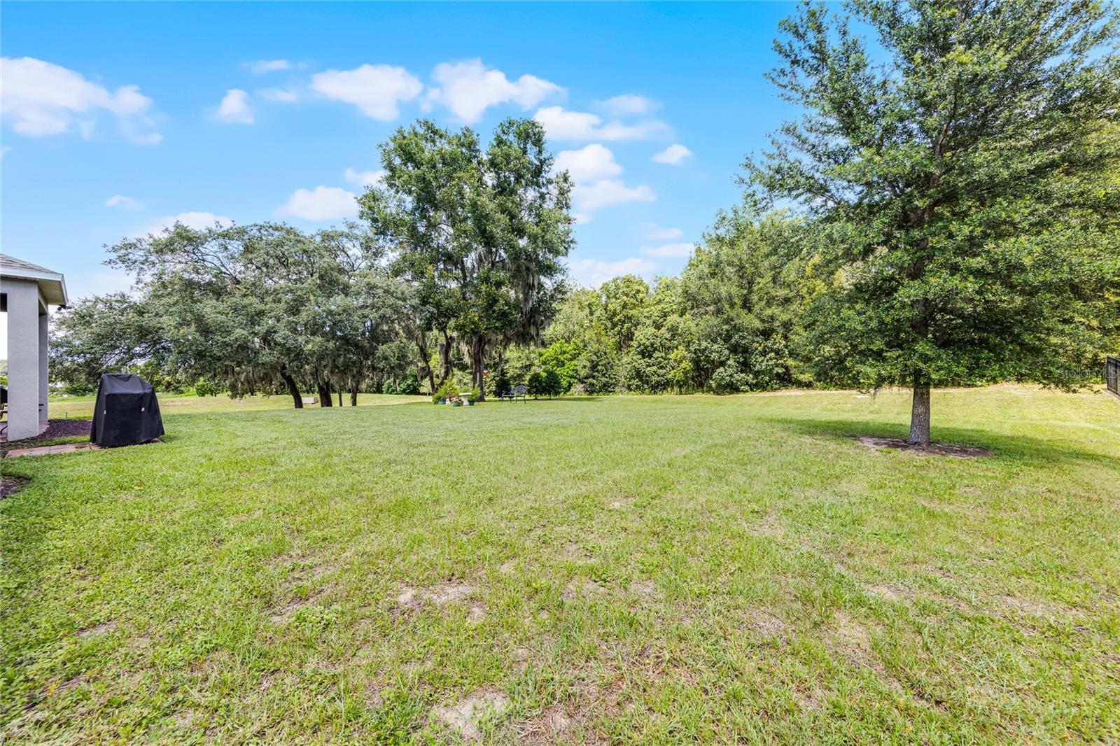 31936 GEOFF WAY, SORRENTO, FL, 32776