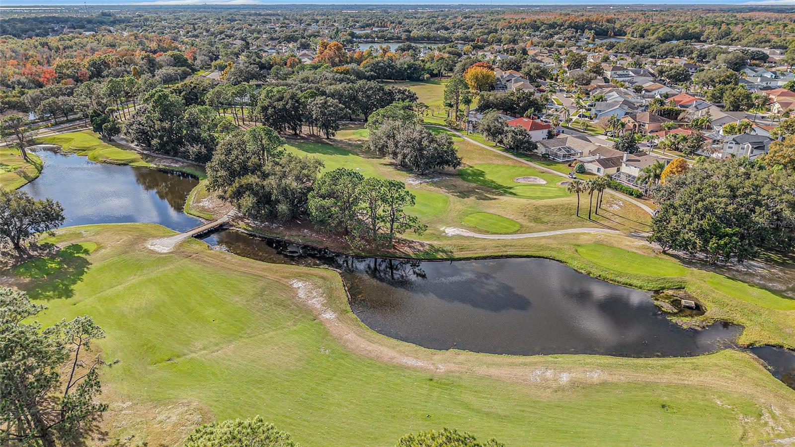 11325 GLENMONT DR, TAMPA, FL, 33635