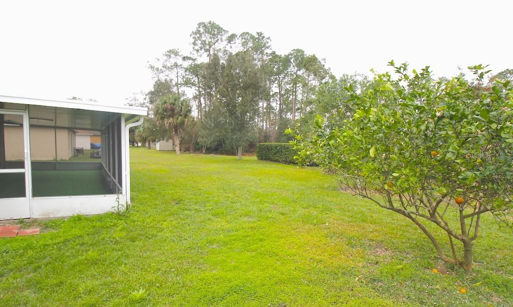 43 PEPPERCORN LN, PALM COAST, FL, 32164