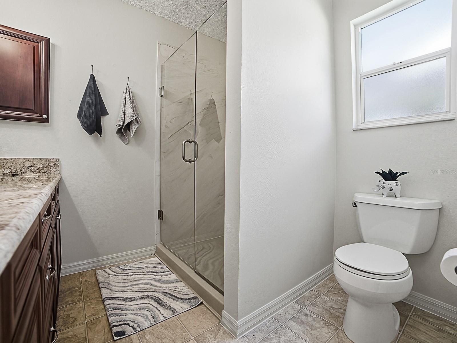 1867 TREADWELL TER, THE VILLAGES, FL, 32162