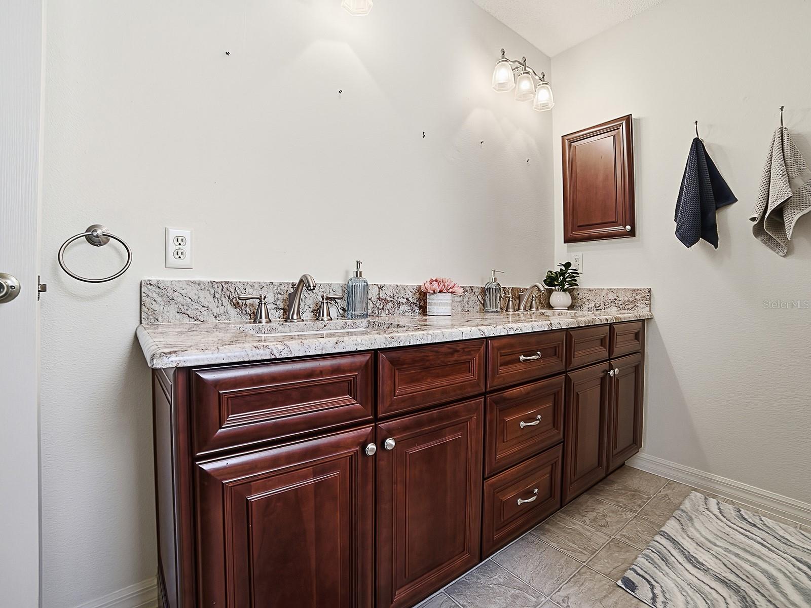 1867 TREADWELL TER, THE VILLAGES, FL, 32162