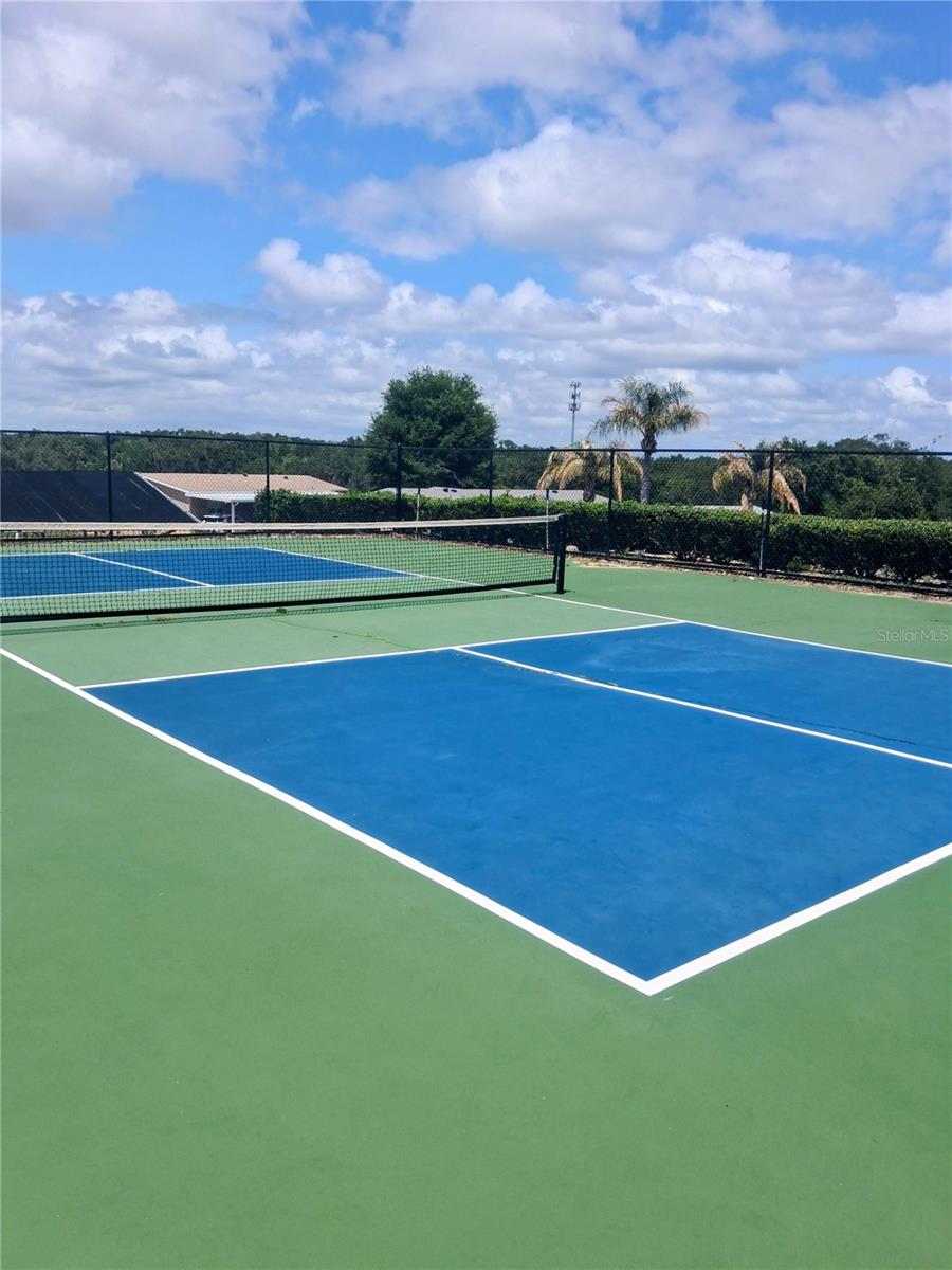 16569 SE 96TH AVE, SUMMERFIELD, FL, 34491