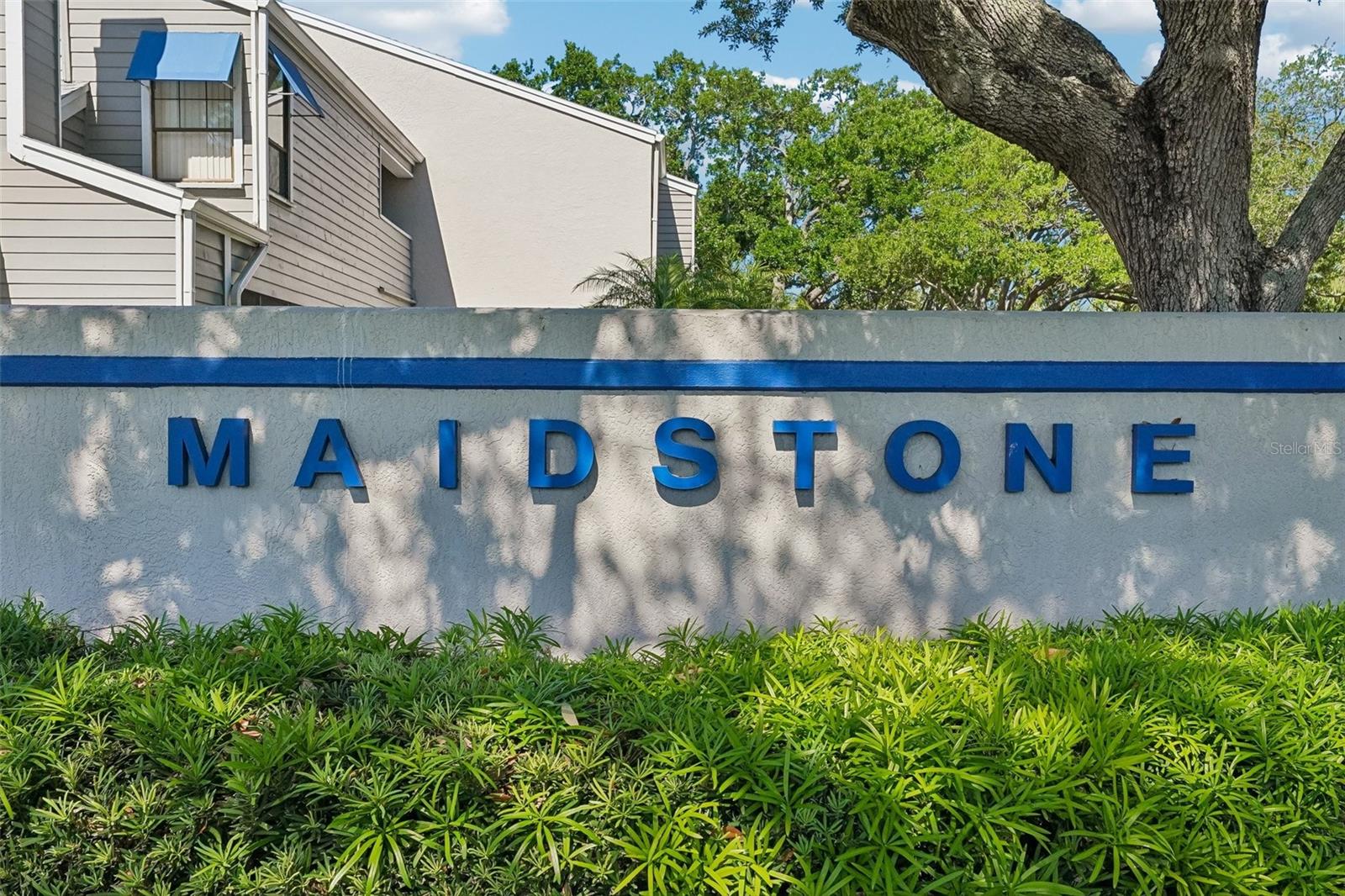 8727 BARDMOOR PL #204, SEMINOLE, FL, 33777