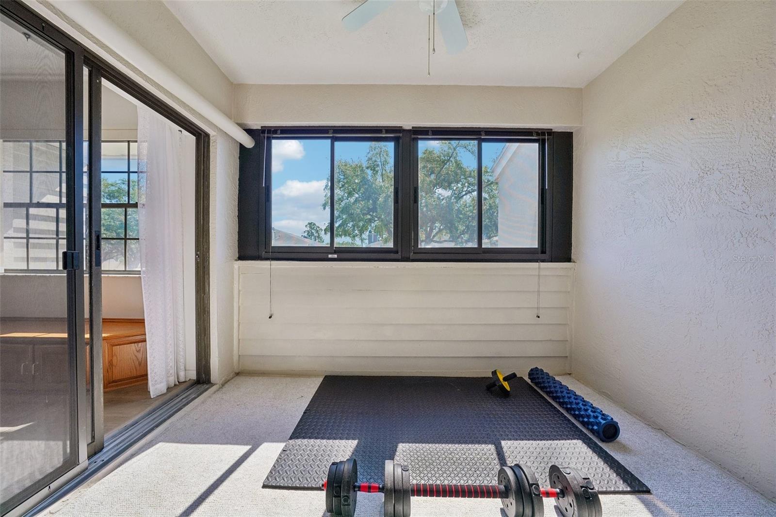 8727 BARDMOOR PL #204, SEMINOLE, FL, 33777