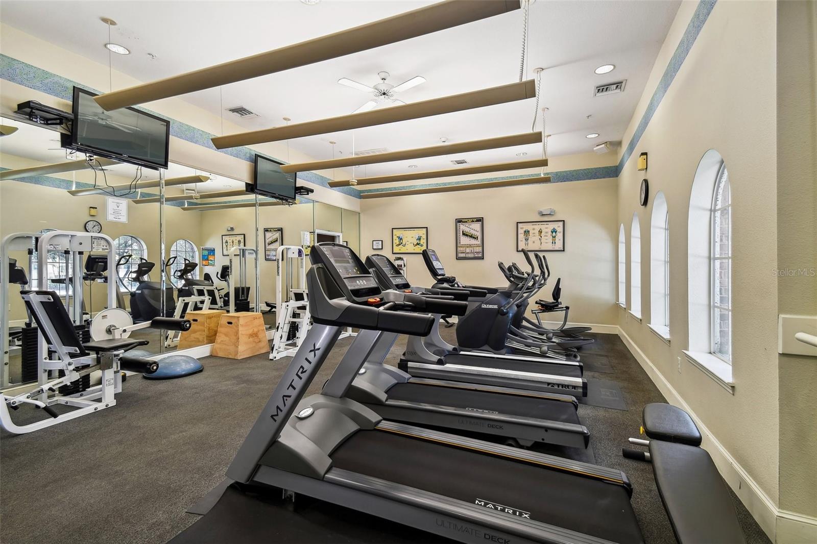 501 KNIGHTS RUN AVE #2309, TAMPA, FL, 33602