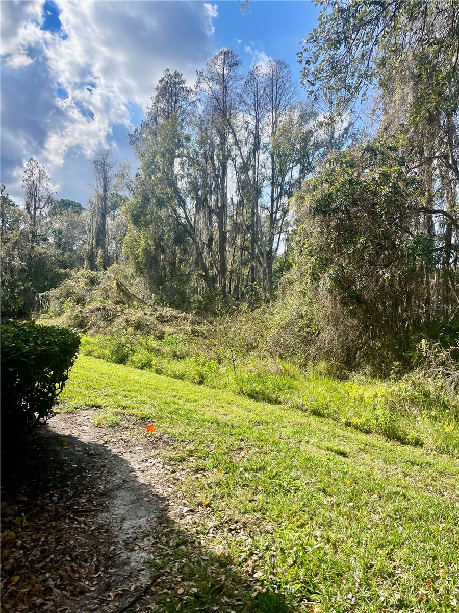 29916 ALTA VITA LN, WESLEY CHAPEL, FL, 33543