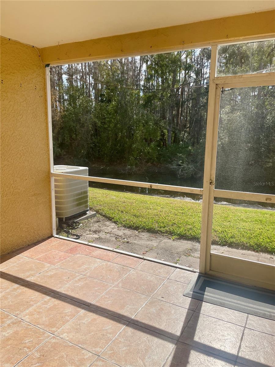 29916 ALTA VITA LN, WESLEY CHAPEL, FL, 33543