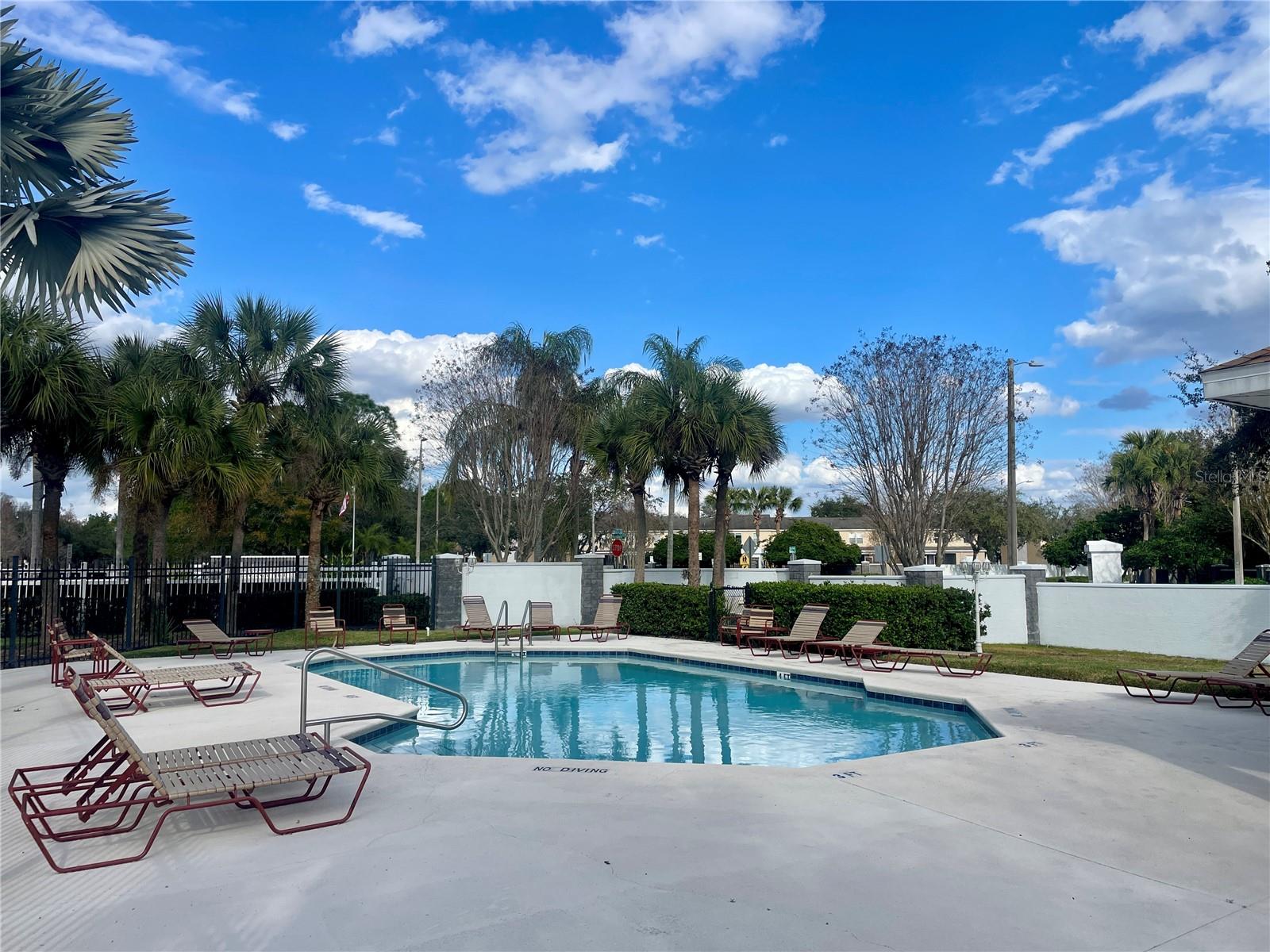 29916 ALTA VITA LN, WESLEY CHAPEL, FL, 33543