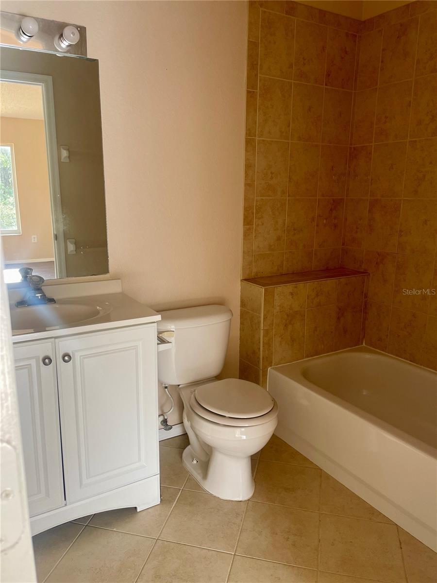 29916 ALTA VITA LN, WESLEY CHAPEL, FL, 33543