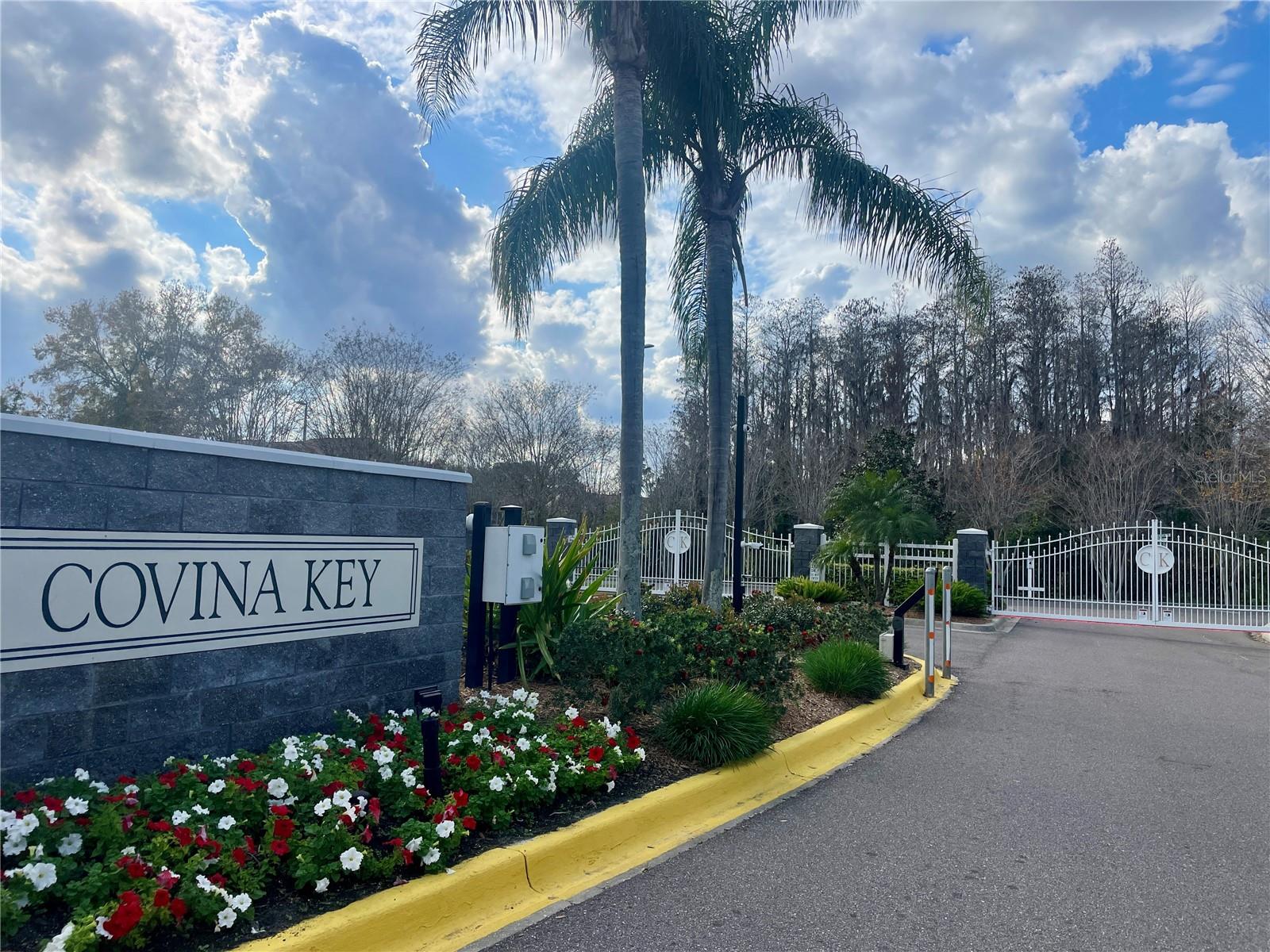 29916 ALTA VITA LN, WESLEY CHAPEL, FL, 33543