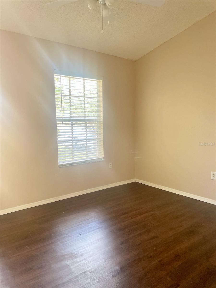 29916 ALTA VITA LN, WESLEY CHAPEL, FL, 33543