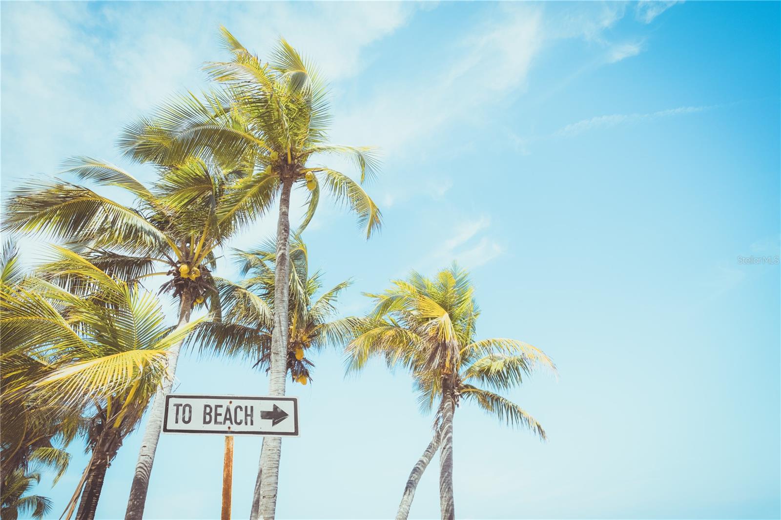 1601 N CENTRAL AVE #801, FLAGLER BEACH, FL, 32136