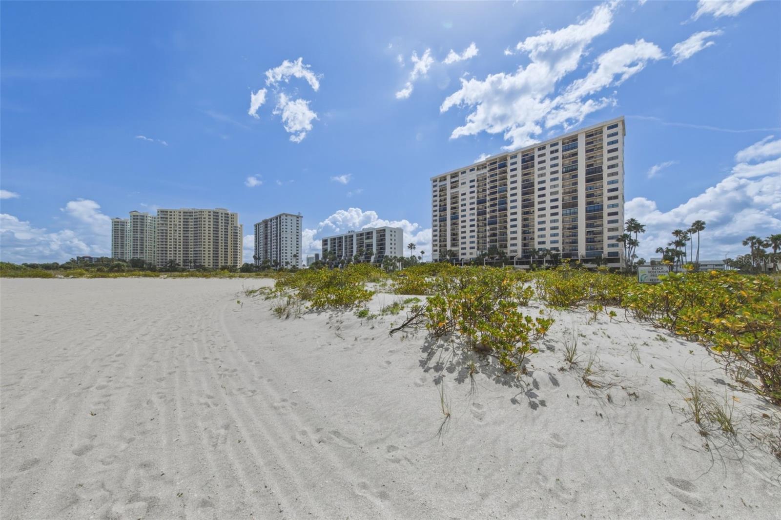 1270 GULF BLVD #1202, CLEARWATER BEACH, FL, 33767