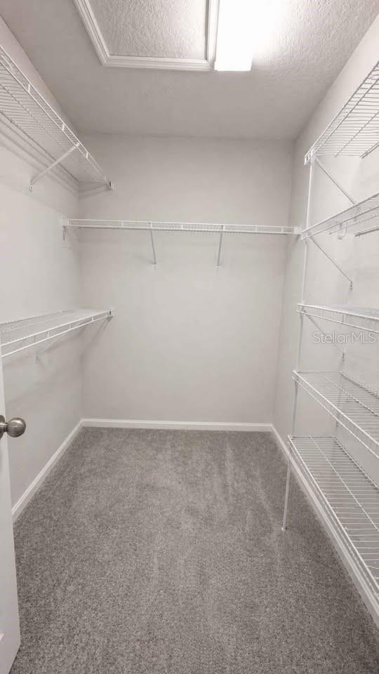 2629 PLAY HARD ALY, KISSIMMEE, FL, 34744