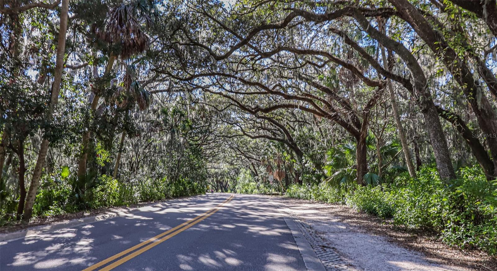 3029 KEY HARBOR DR, SAFETY HARBOR, FL, 34695