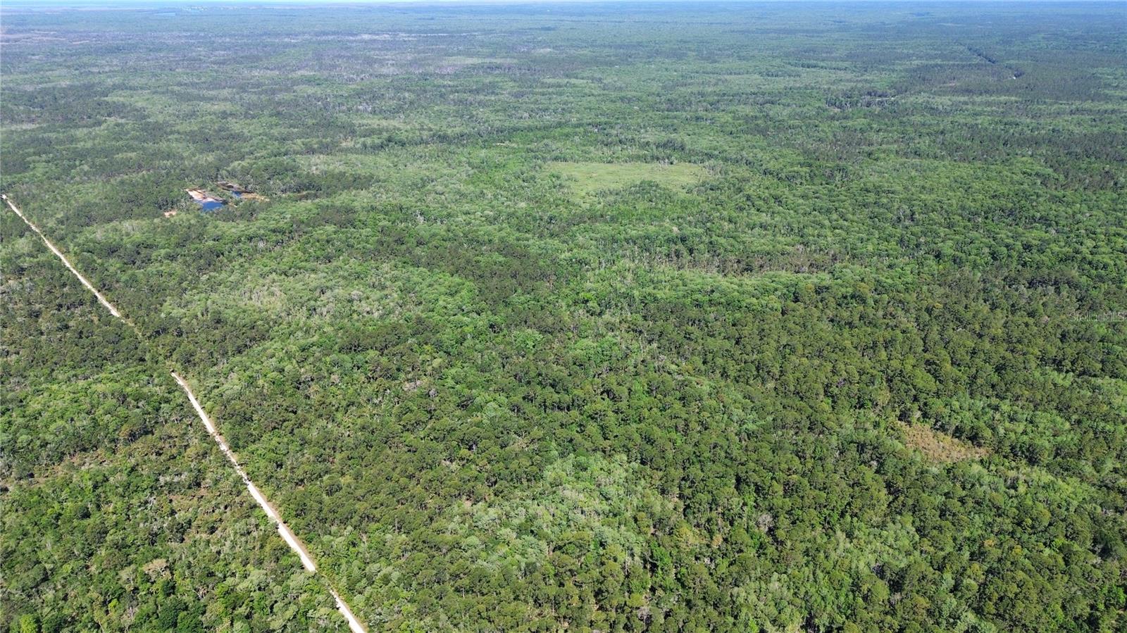 TBD SW CR-347, CHIEFLAND, FL, 32644