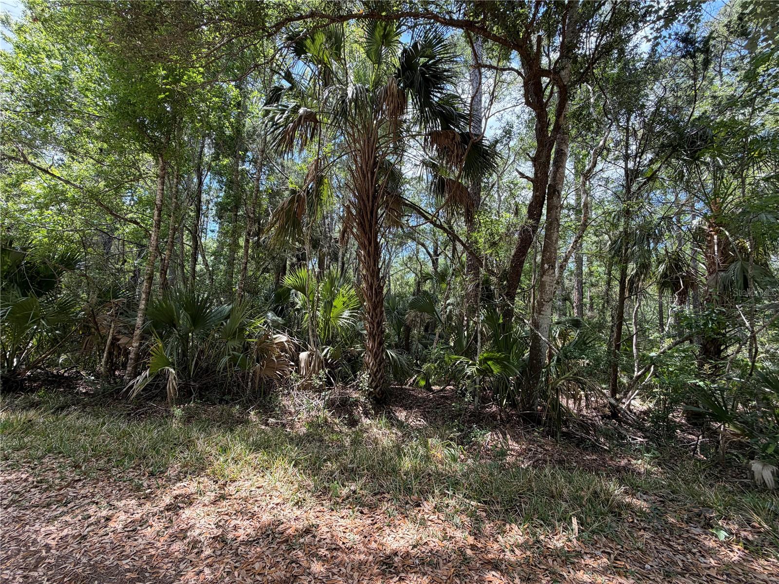 TBD SW CR-347, CHIEFLAND, FL, 32644