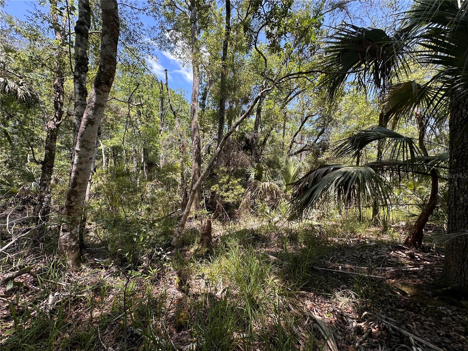 TBD SW CR-347, CHIEFLAND, FL, 32644