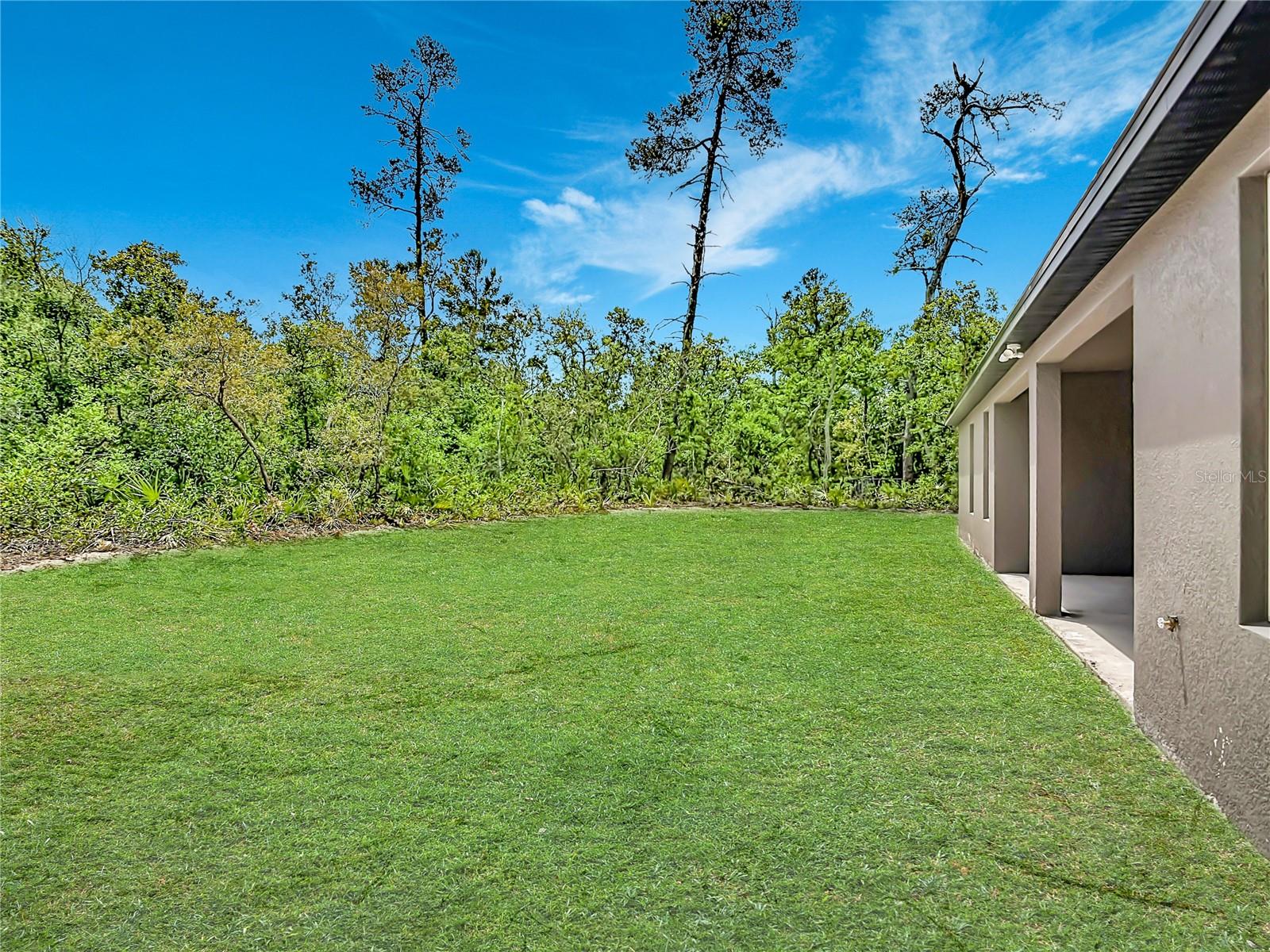 41260 BALSAM ST, EUSTIS, FL, 32736