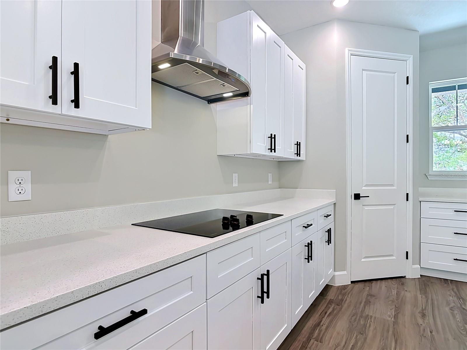 41260 BALSAM ST, EUSTIS, FL, 32736