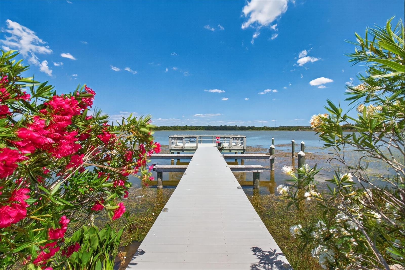 10550 VILLAGE DR #104, SEMINOLE, FL, 33772