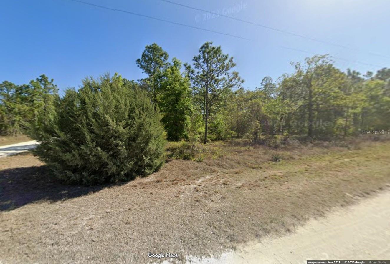 15470 CAVE SWALLOW RD, BROOKSVILLE, FL, 34614