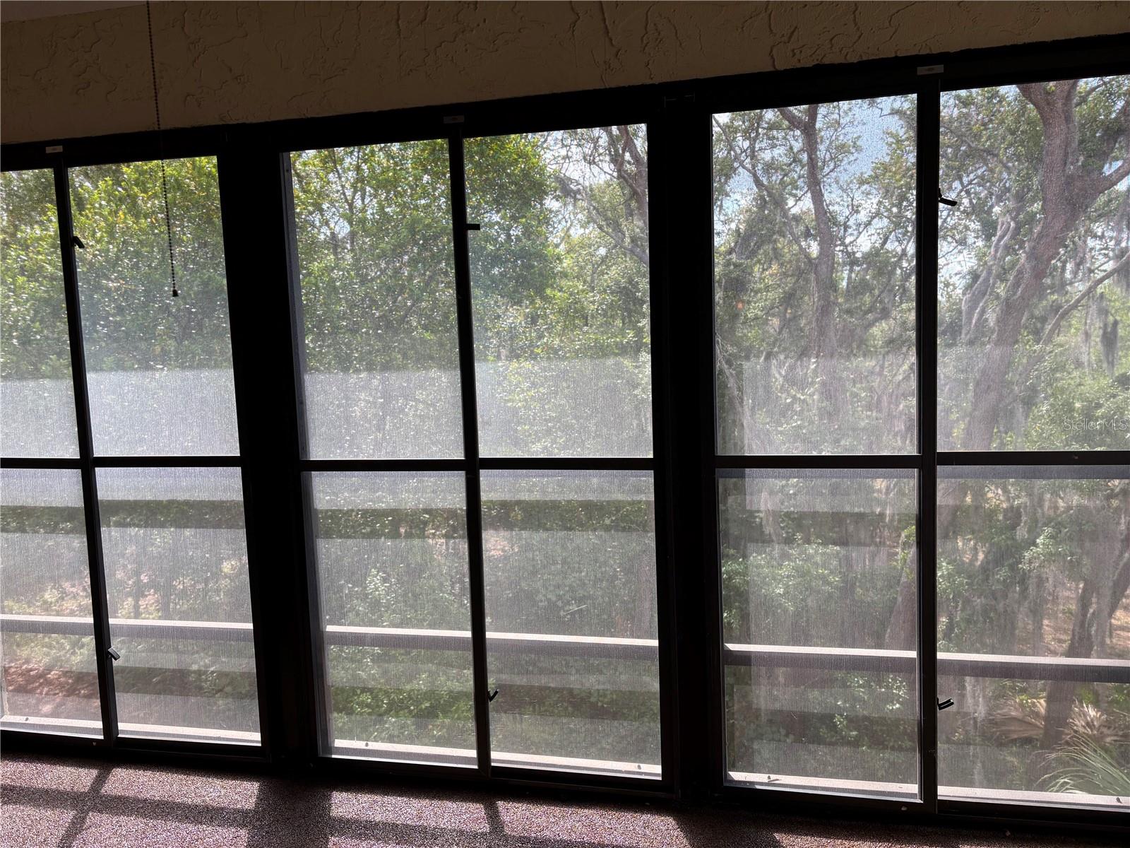 7650 FOREST TRL #9, PORT RICHEY, FL, 34668