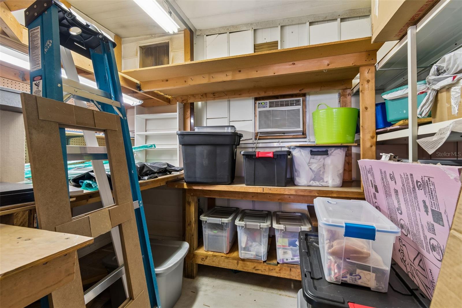 133 CEDAR DR, PALM HARBOR, FL, 34684