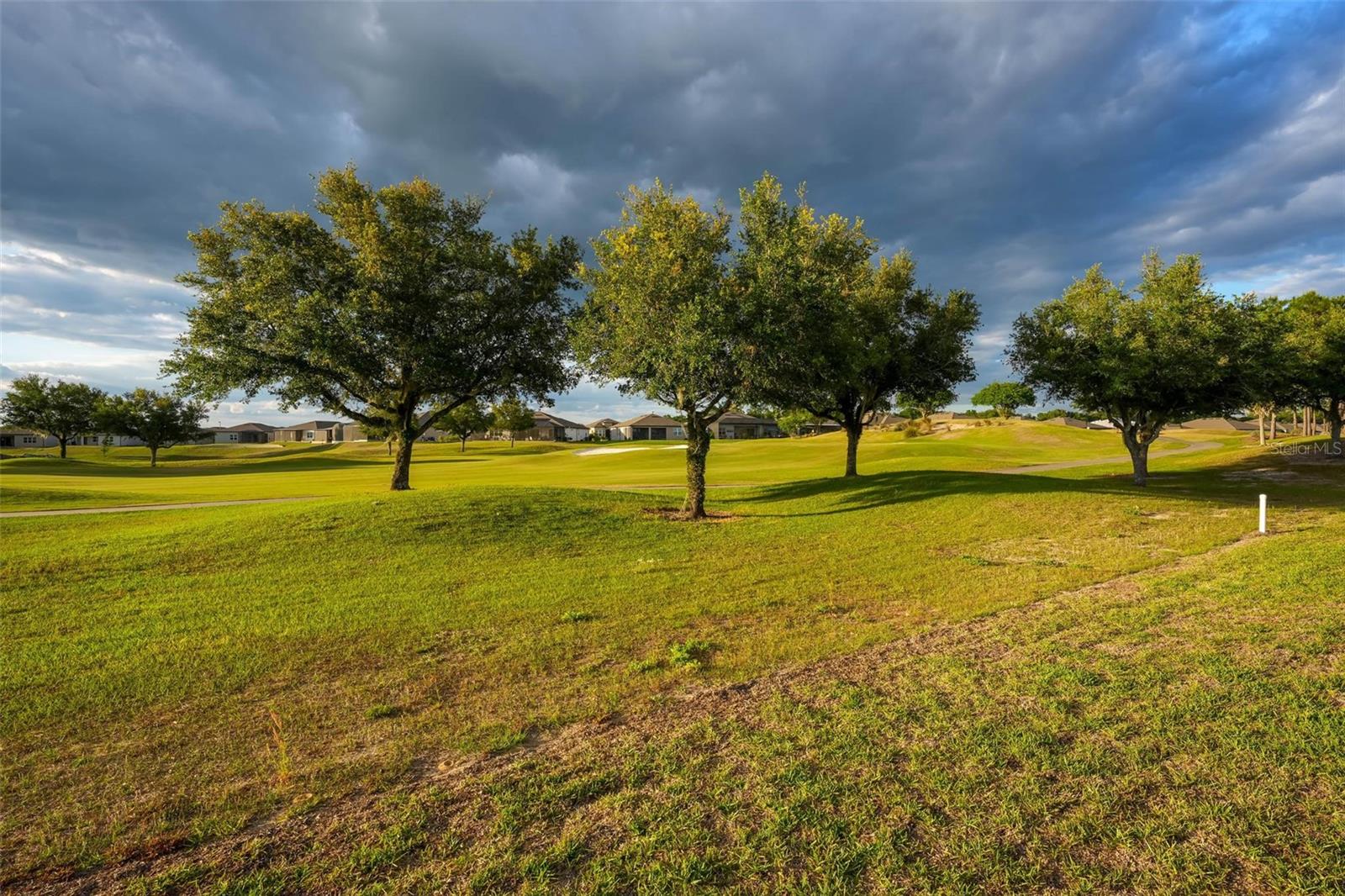 9021 S 57TH PLACE RD, OCALA, FL, 34481