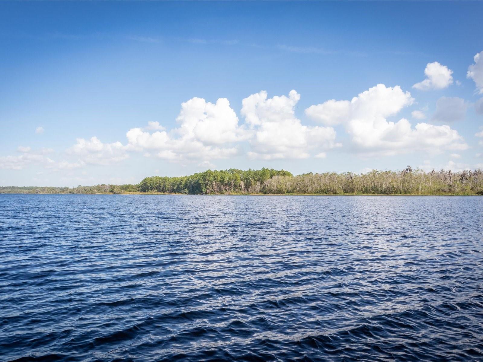 206 ANDROS AVENUE #15202, DAVENPORT, FL, 33897