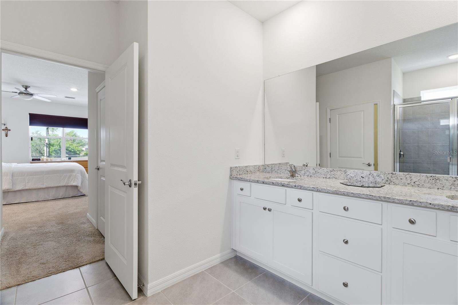 3827 MOSSY LIMB CT, PALMETTO, FL, 34221