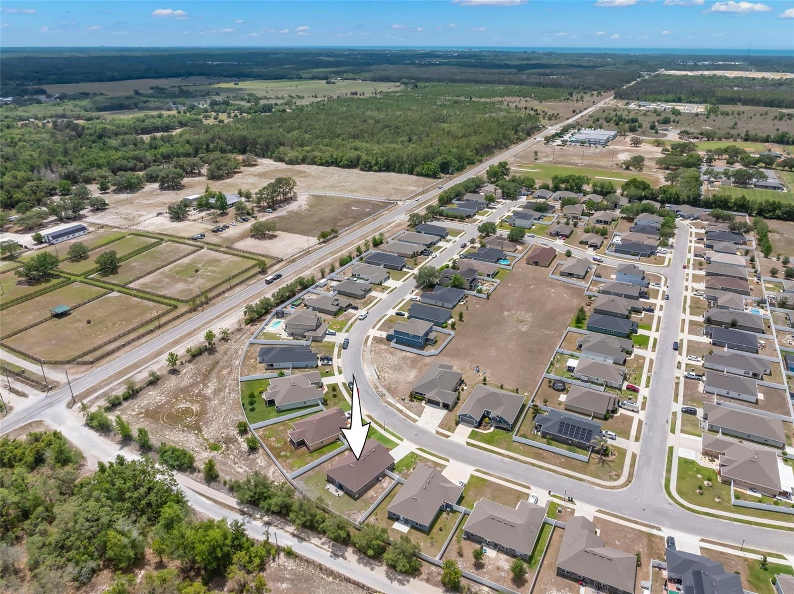 16114 VINE CLIFF AVE, HUDSON, FL, 34667