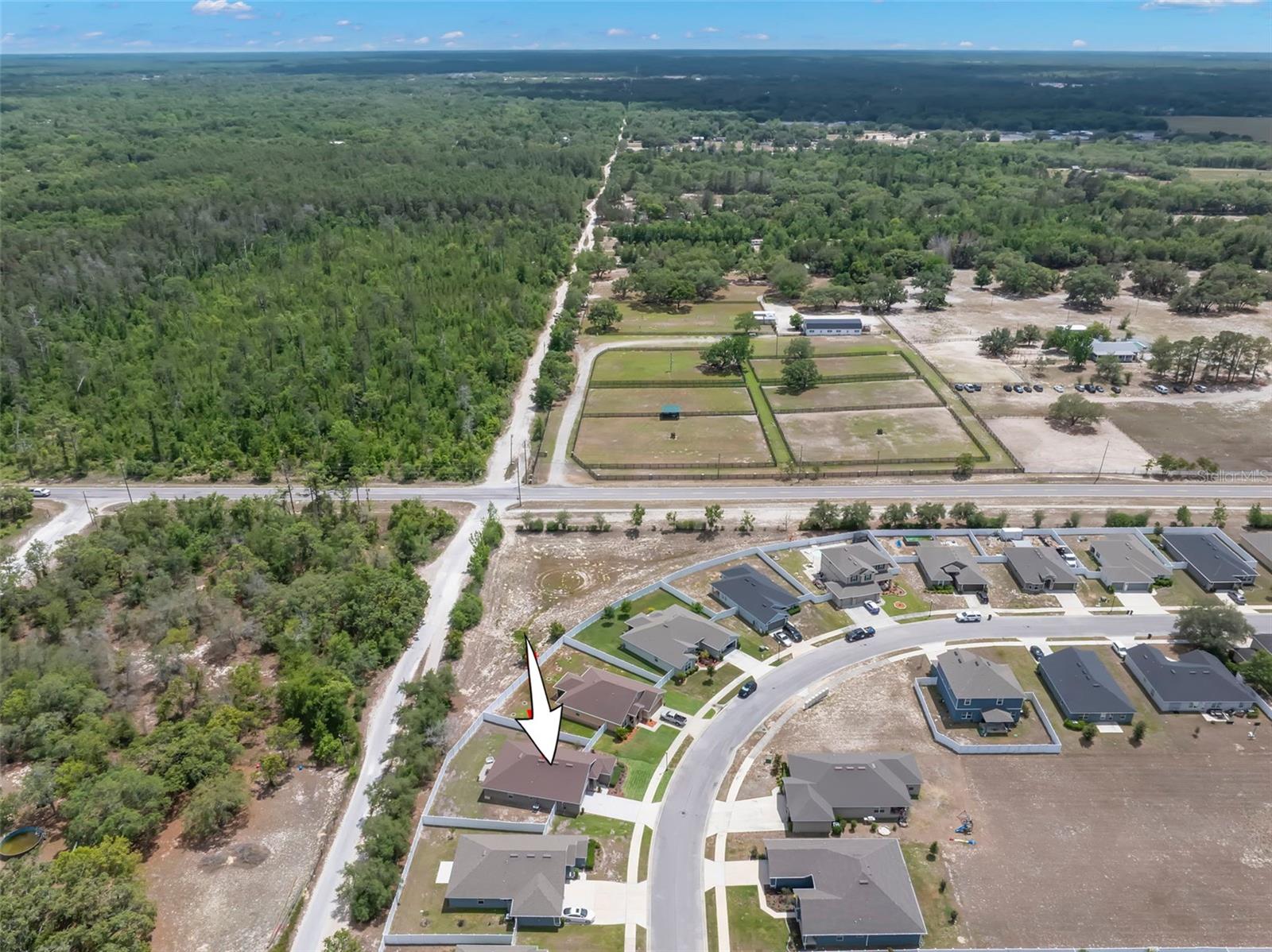 16114 VINE CLIFF AVE, HUDSON, FL, 34667