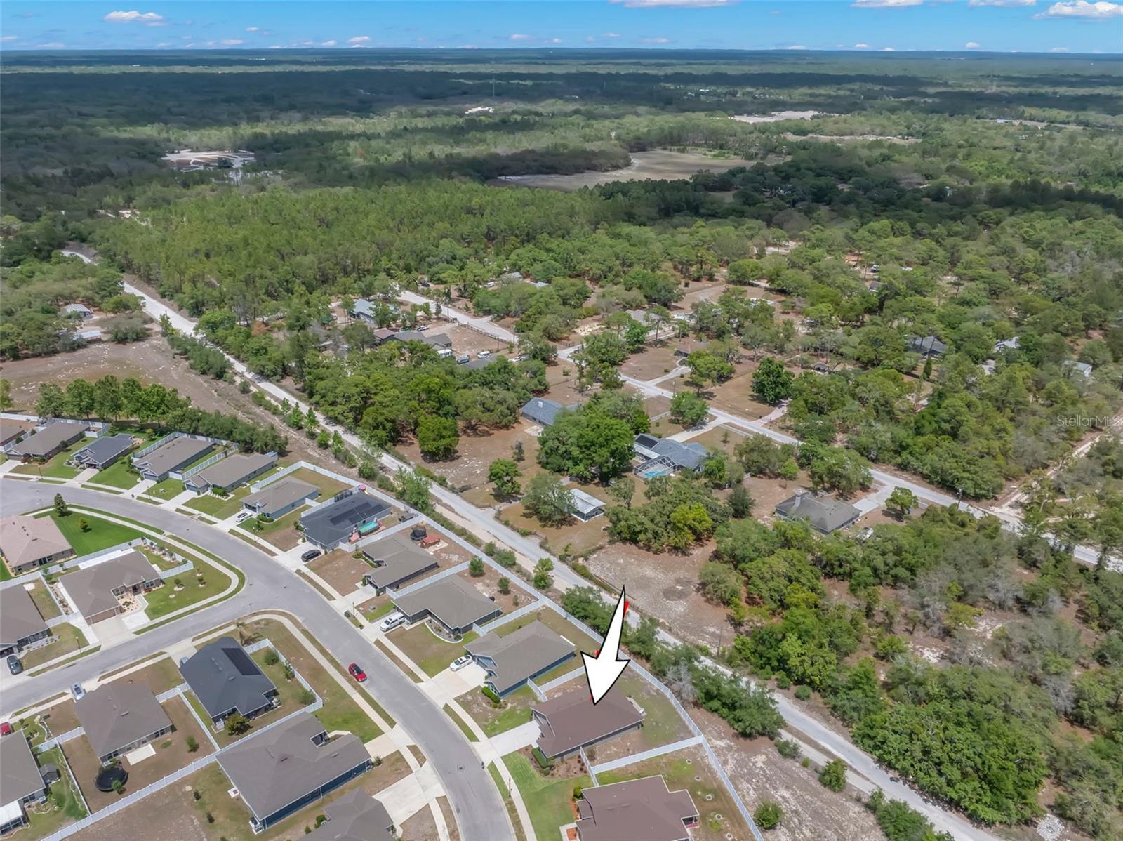 16114 VINE CLIFF AVE, HUDSON, FL, 34667