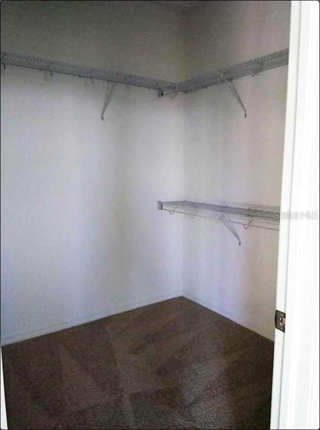 1704 NATURE VIEW DR, LUTZ, FL, 33558