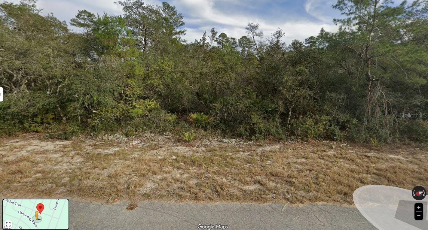 FISHER TRACE TRL, OCKLAWAHA, FL, 32179