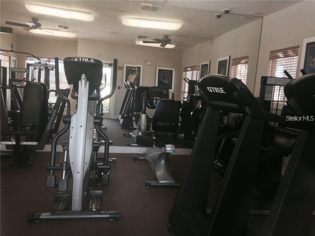 4211 CHATHAM OAK CT #114, TAMPA, FL, 33624