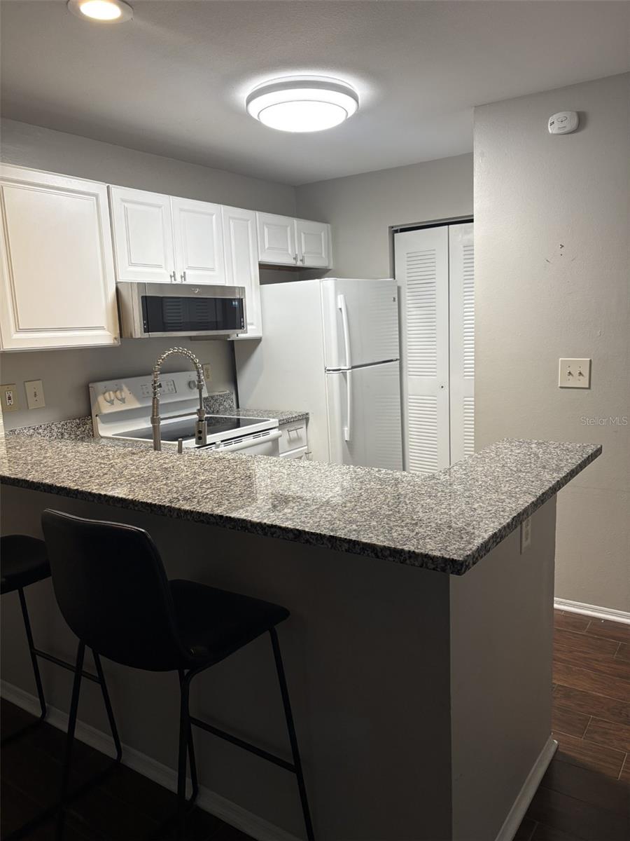 4211 CHATHAM OAK CT #114, TAMPA, FL, 33624