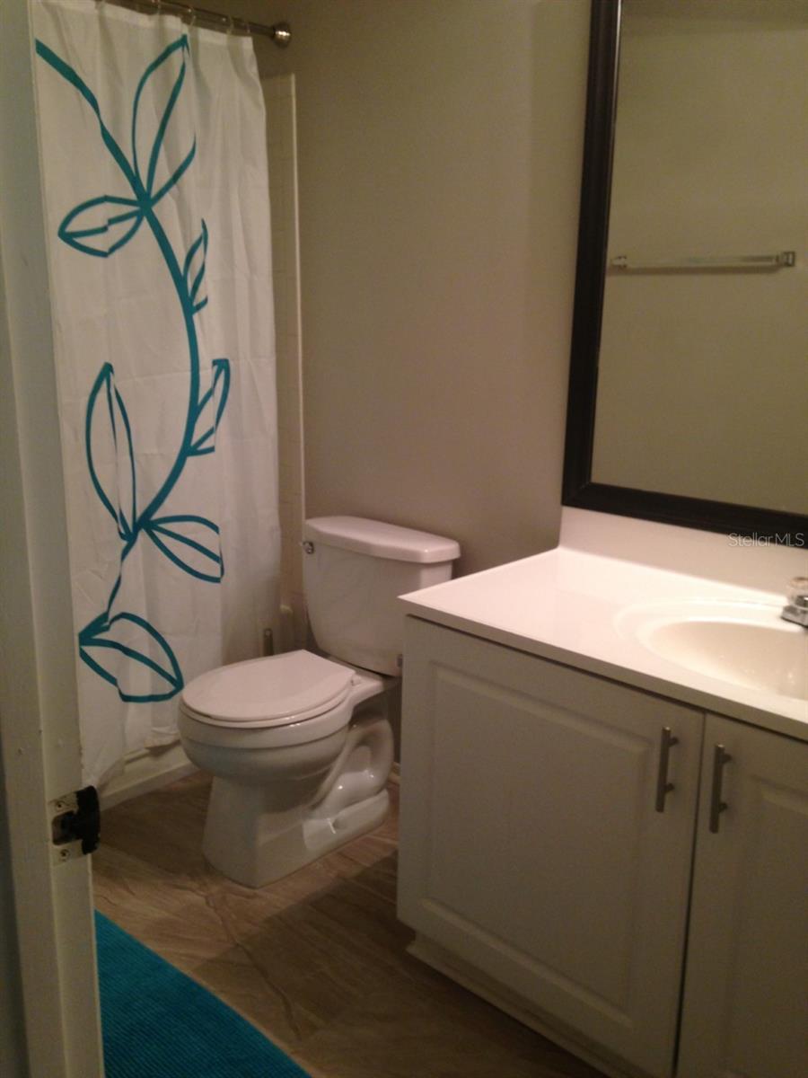 4211 CHATHAM OAK CT #114, TAMPA, FL, 33624