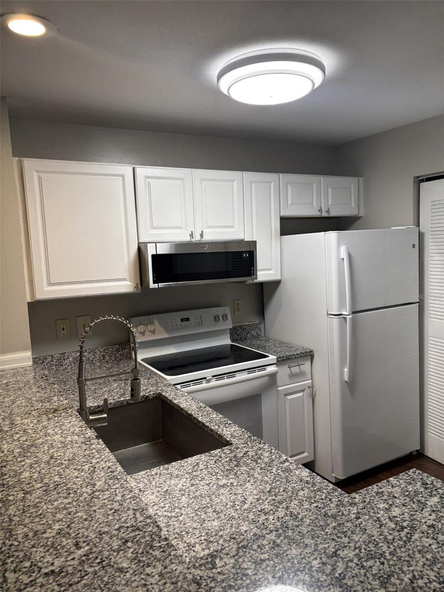 4211 CHATHAM OAK CT #114, TAMPA, FL, 33624