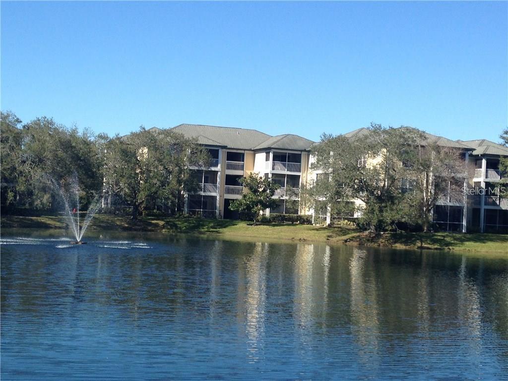 4211 CHATHAM OAK CT #114, TAMPA, FL, 33624