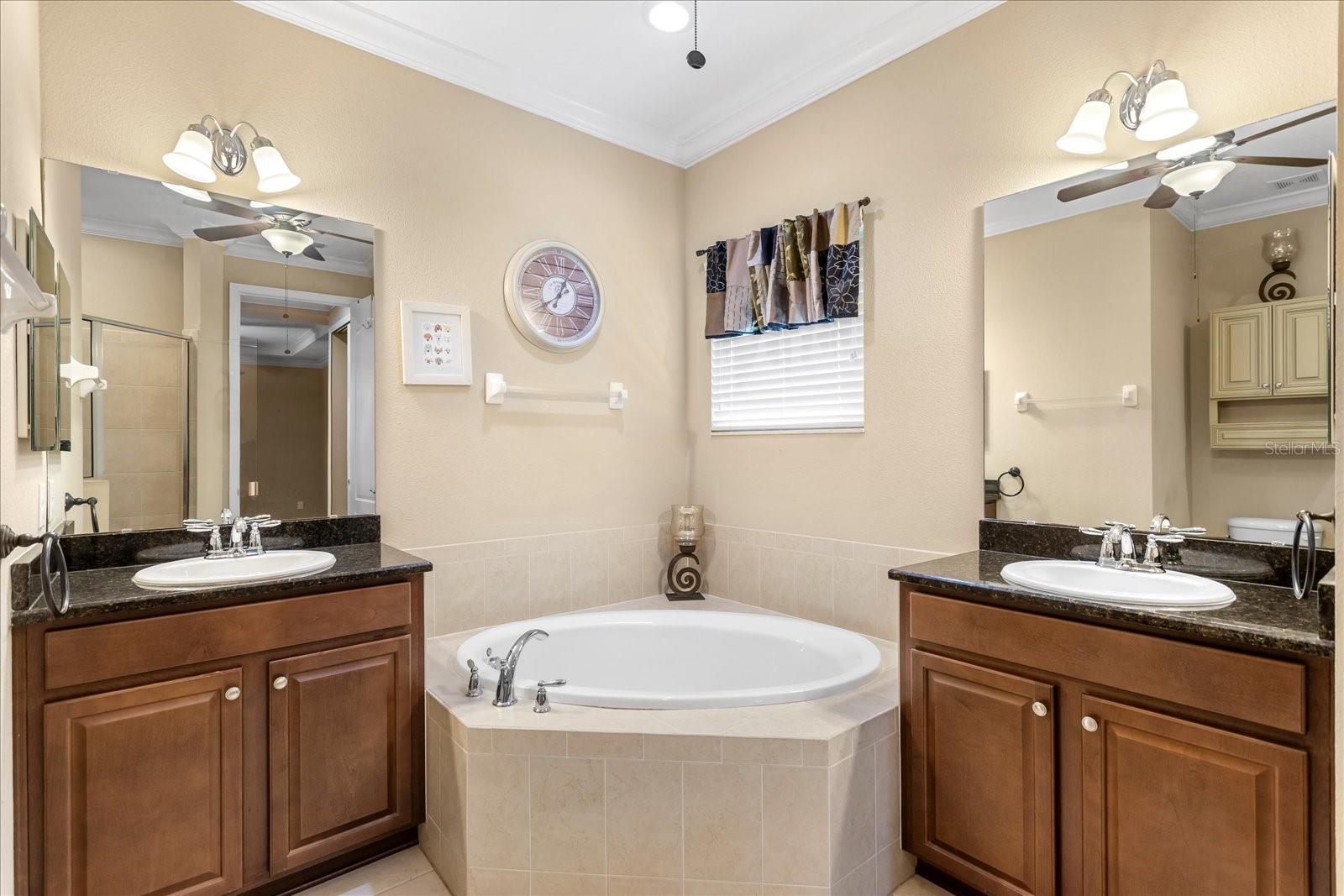 10321 BELFRY CIR, ORLANDO, FL, 32832