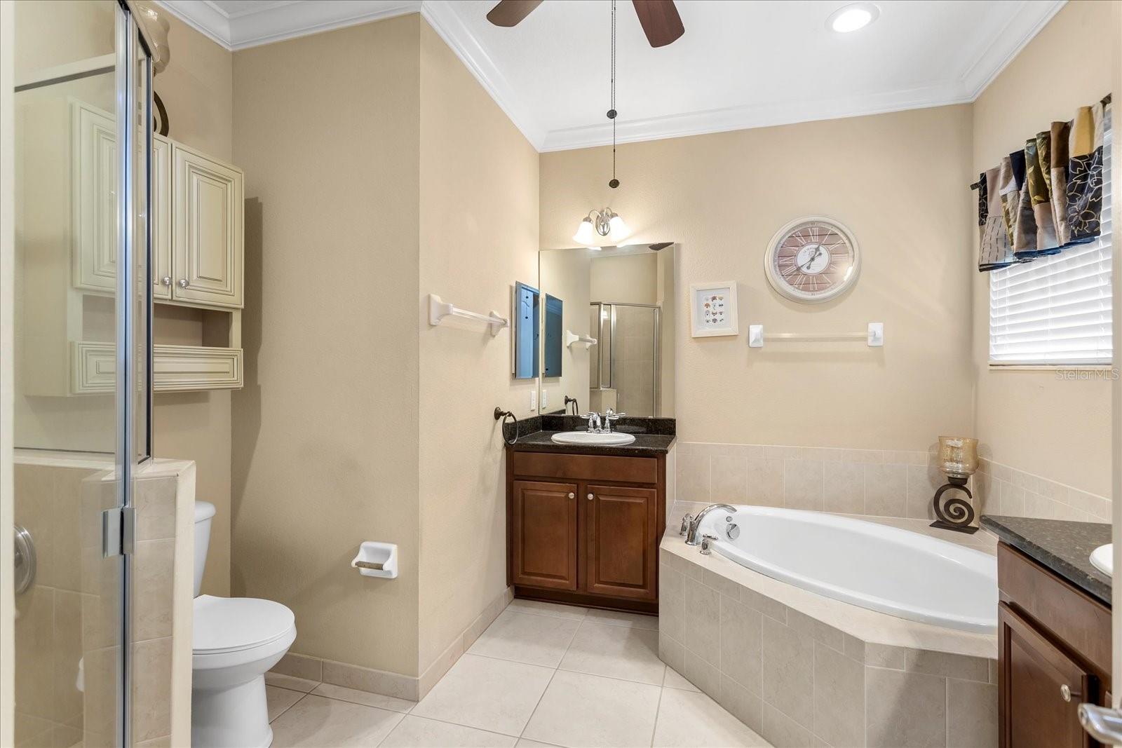 10321 BELFRY CIR, ORLANDO, FL, 32832